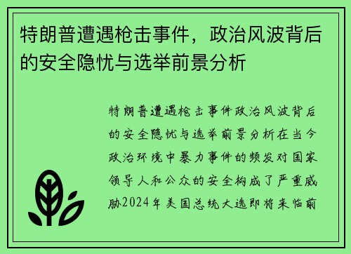 特朗普遭遇枪击事件，政治风波背后的安全隐忧与选举前景分析