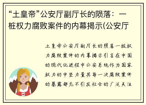 “土皇帝”公安厅副厅长的陨落：一桩权力腐败案件的内幕揭示(公安厅 常务副厅长)