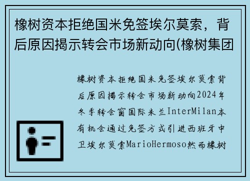 橡树资本拒绝国米免签埃尔莫索，背后原因揭示转会市场新动向(橡树集团)