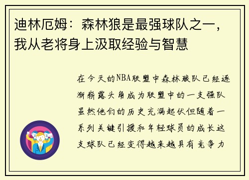 迪林厄姆：森林狼是最强球队之一，我从老将身上汲取经验与智慧